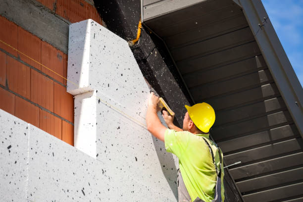 Best Wall Insulation Installation  in Franklin Lakes, NJ